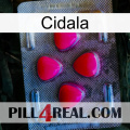 Cidala 13